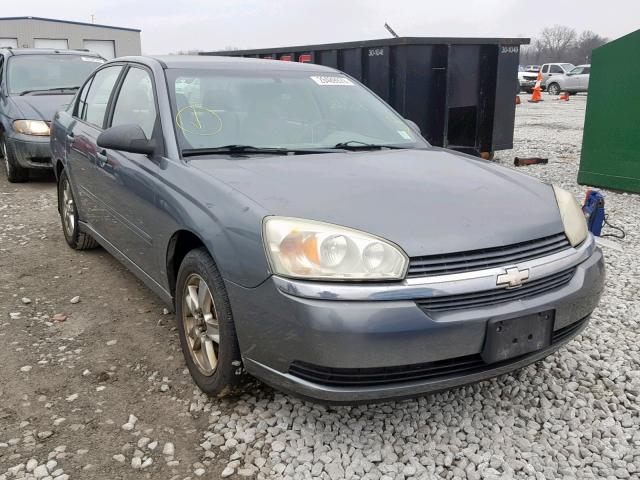 1G1ZT52845F264060 - 2005 CHEVROLET MALIBU LS GRAY photo 1