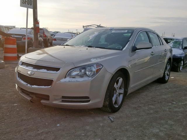 1G1ZC5EU0BF329684 - 2011 CHEVROLET MALIBU 1LT GOLD photo 2