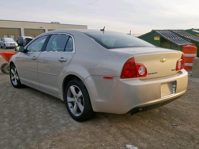 1G1ZC5EU0BF329684 - 2011 CHEVROLET MALIBU 1LT GOLD photo 3