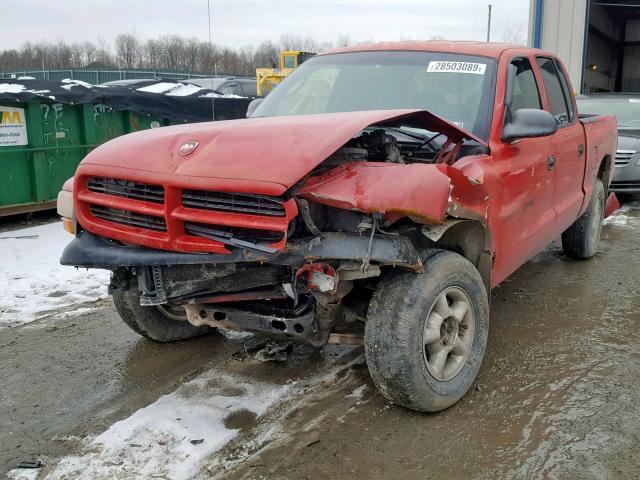 1B7GG2AN3YS788711 - 2000 DODGE DAKOTA QUA RED photo 2