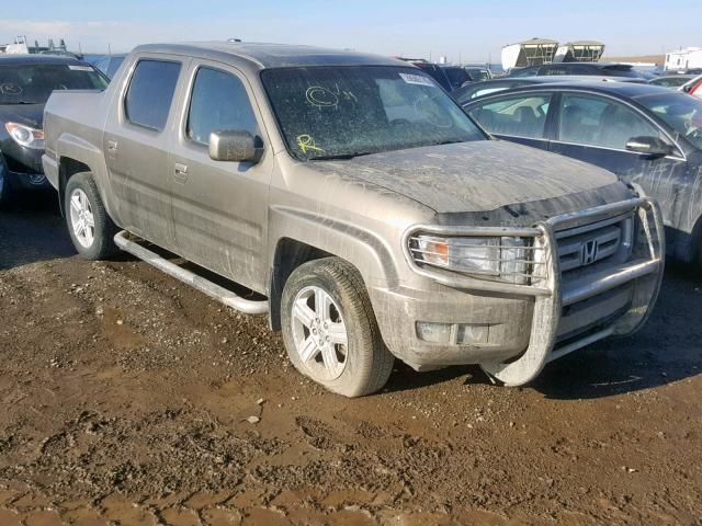 2HJYK16519H003385 - 2009 HONDA RIDGELINE GOLD photo 1