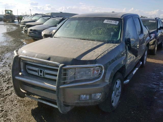 2HJYK16519H003385 - 2009 HONDA RIDGELINE GOLD photo 2