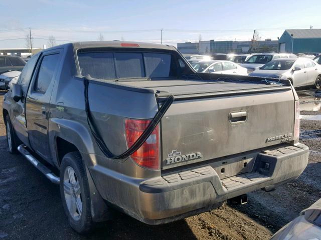 2HJYK16519H003385 - 2009 HONDA RIDGELINE GOLD photo 3