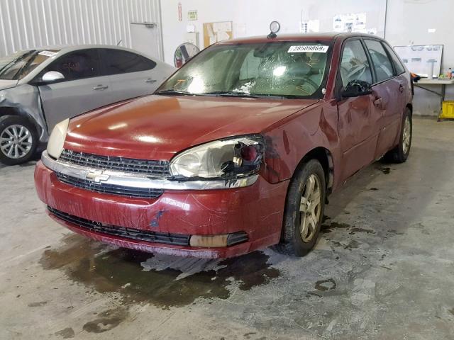 1G1ZU648X5F239602 - 2005 CHEVROLET MALIBU MAX 红色 照片 2