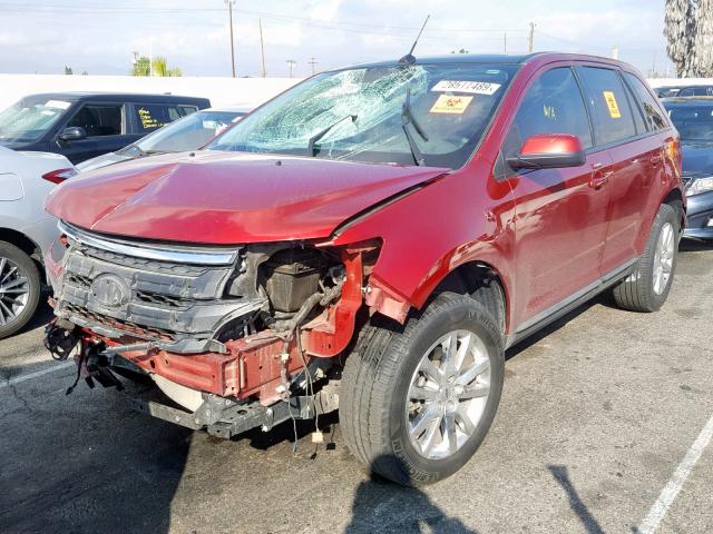 2FMDK3JC4EBB56467 - 2014 FORD EDGE SEL RED photo 2