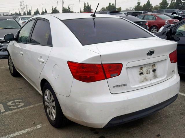 KNAFU4A25B5458061 - 2011 KIA FORTE EX WHITE photo 3