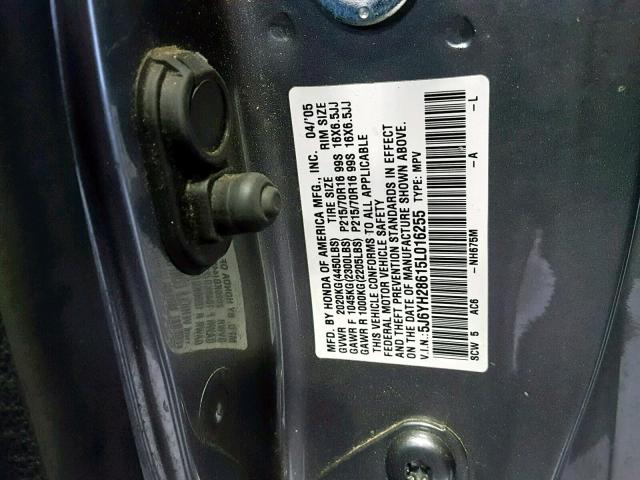 5J6YH28615L016255 - 2005 HONDA ELEMENT EX GRAY photo 10