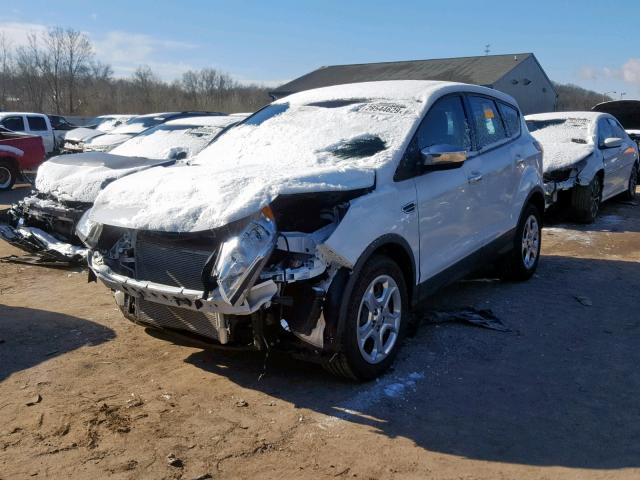 1FMCU0F71GUA37563 - 2016 FORD ESCAPE S WHITE photo 2