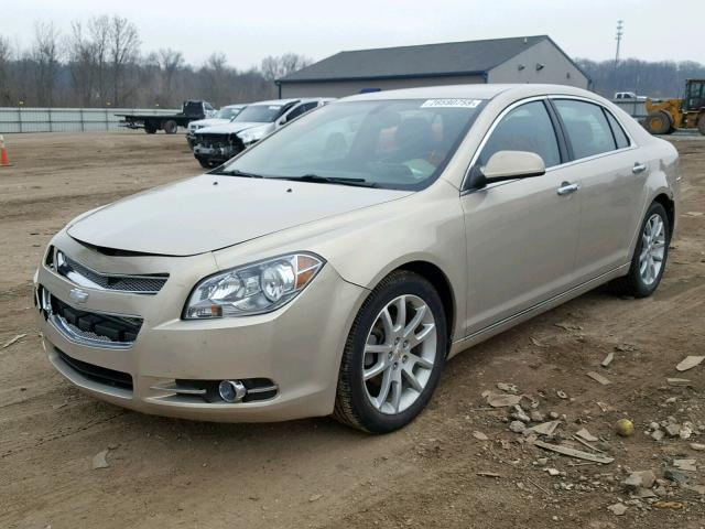 1G1ZE5EB6AF213798 - 2010 CHEVROLET MALIBU LTZ თაფლისფერი ფოტო 2
