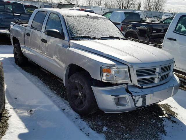 1D7RW3GK6BS504676 - 2011 DODGE DAKOTA SLT SILVER photo 1