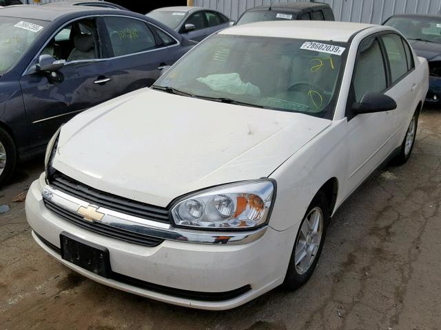 1G1ZT52855F329305 - 2005 CHEVROLET MALIBU LS WHITE photo 2