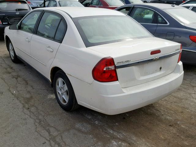 1G1ZT52855F329305 - 2005 CHEVROLET MALIBU LS WHITE photo 3