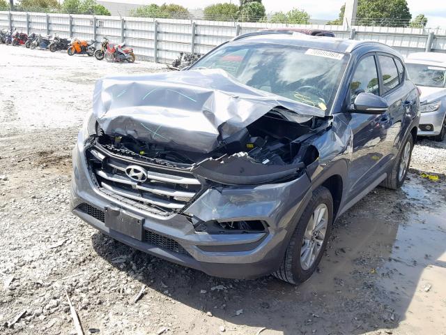 KM8J3CA42HU428943 - 2017 HYUNDAI TUCSON LIM GRAY photo 2