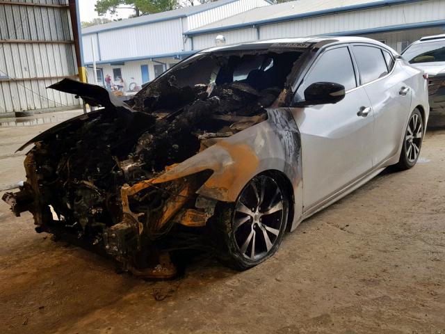 1N4AA6AP0GC386367 - 2016 NISSAN MAXIMA 3.5 WHITE photo 2