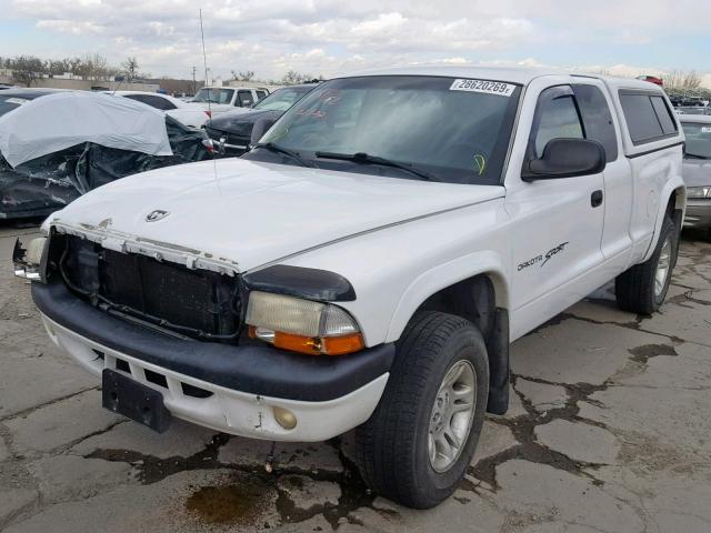 1B7GG22N81S163550 - 2001 DODGE DAKOTA WHITE photo 2