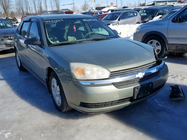 1G1ZT64804F248844 - 2004 CHEVROLET MALIBU MAX GREEN photo 1