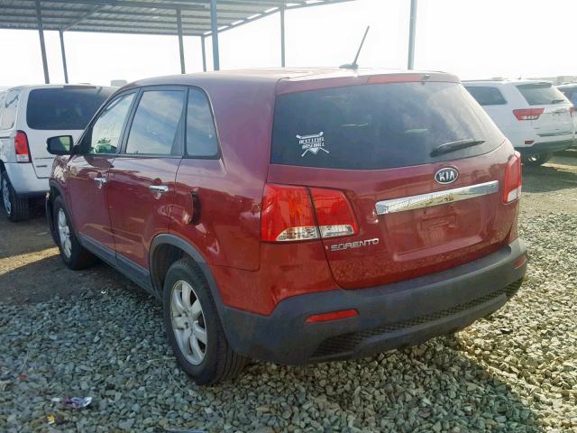 5XYKT3A15BG007676 - 2011 KIA SORENTO BA BURGUNDY photo 3