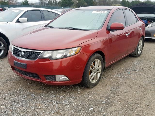 KNAFU4A24C5565409 - 2012 KIA FORTE EX MAROON photo 2