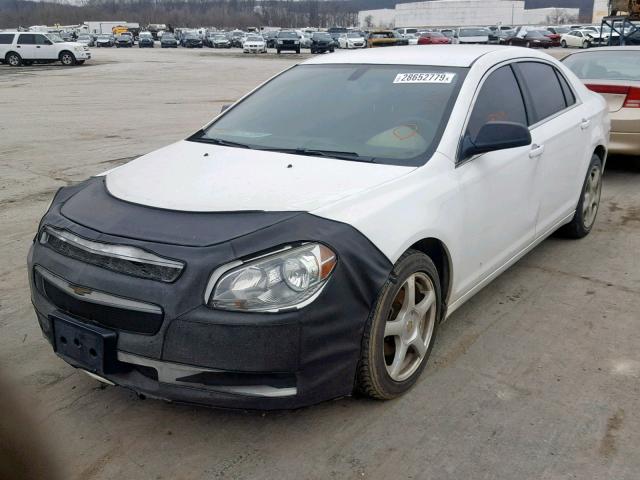 1G1ZA5EU1CF216950 - 2012 CHEVROLET MALIBU LS WHITE photo 2