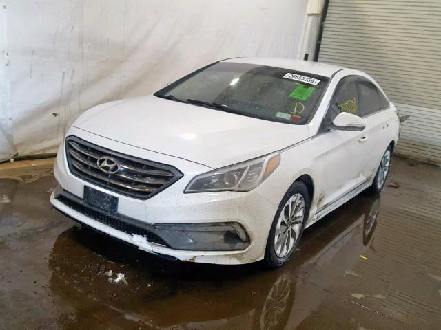 5NPE34AF0FH058693 - 2015 HYUNDAI SONATA SPO WHITE photo 2