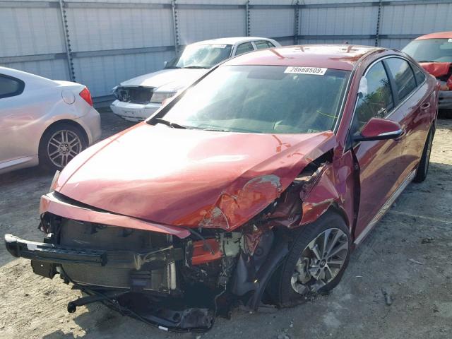 5NPE34AF7FH156510 - 2015 HYUNDAI SONATA SPO RED photo 2