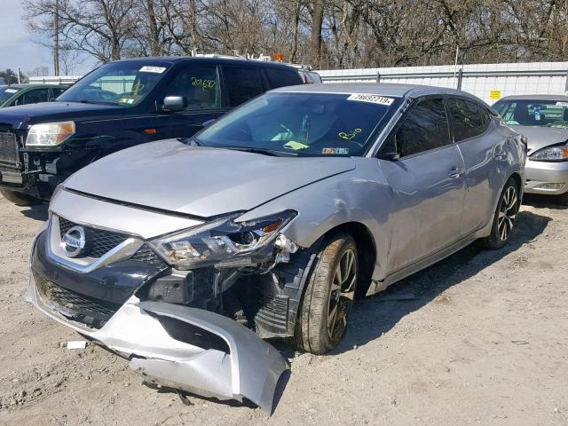 1N4AA6AP3HC431044 - 2017 NISSAN MAXIMA 3.5 SILVER photo 2