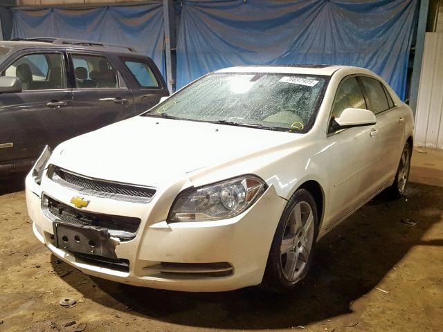 1G1ZD5E71BF396155 - 2011 CHEVROLET MALIBU 2LT CREAM photo 2