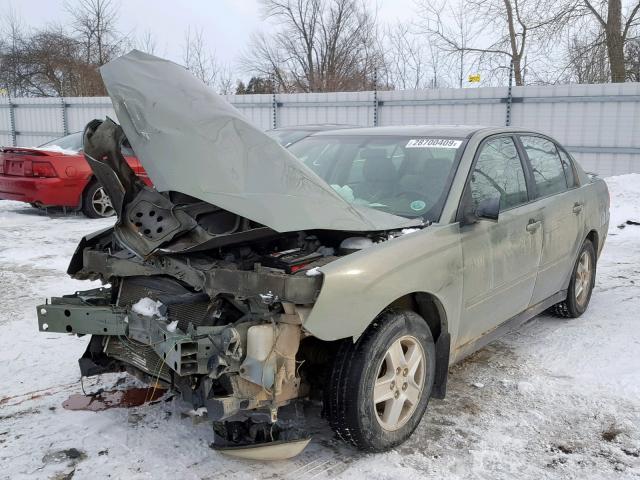 1G1ZT54895F143490 - 2005 CHEVROLET MALIBU LS GREEN photo 2