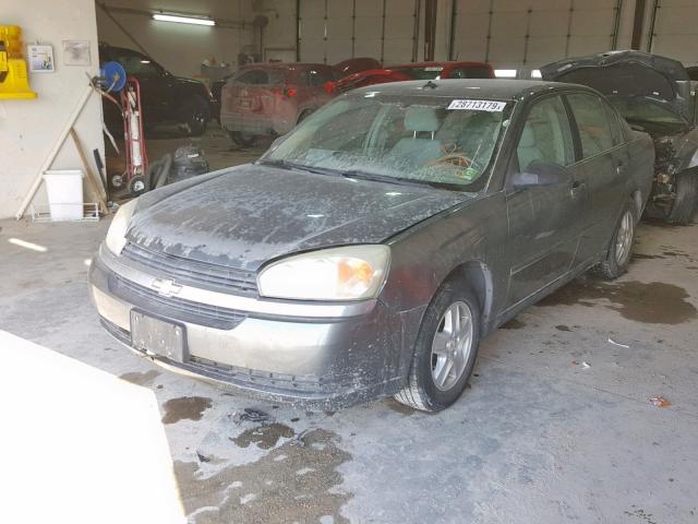 1G1ZT54845F246509 - 2005 CHEVROLET MALIBU LS GRAY photo 2