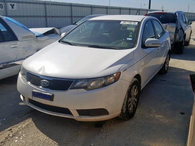 KNAFU4A21C5618065 - 2012 KIA FORTE EX WHITE photo 2