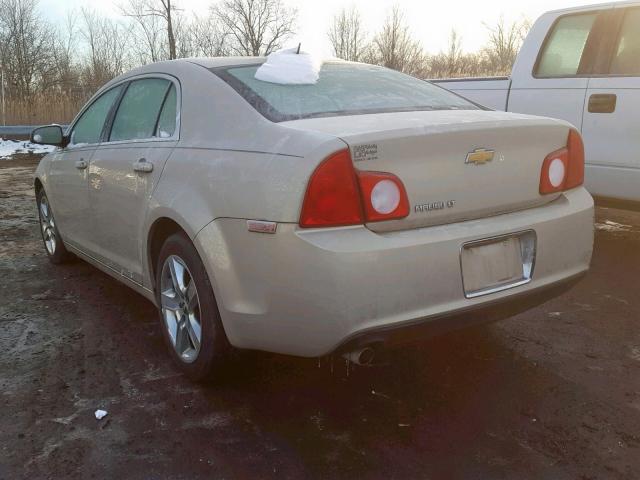 1G1ZC5EB9AF247529 - 2010 CHEVROLET MALIBU 1LT GOLD photo 3