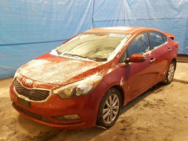 KNAFX4A85E5197787 - 2014 KIA FORTE EX RED photo 2