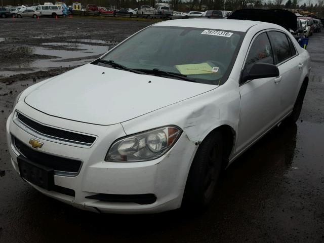 1G1ZB5EB0AF165157 - 2010 CHEVROLET MALIBU LS 白色 照片 2