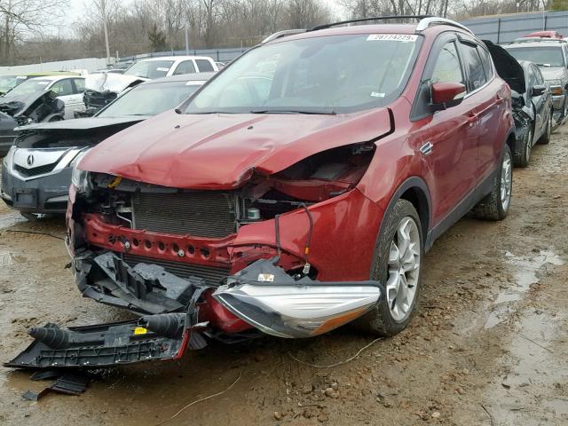 1FMCU0J90DUB54958 - 2013 FORD ESCAPE TIT RED photo 2