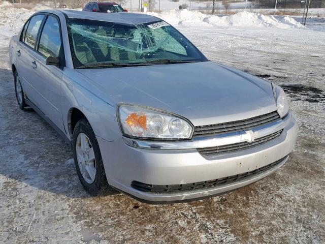 1G1ZT54835F112154 - 2005 CHEVROLET MALIBU LS SILVER photo 1