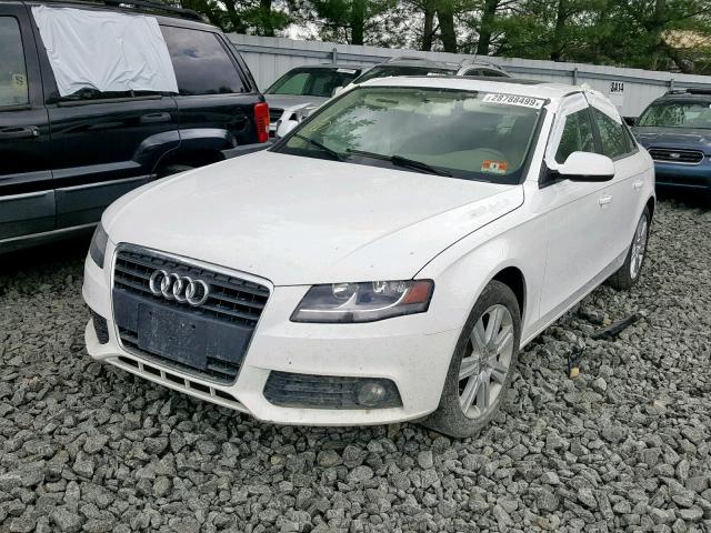 WAUAFAFL1BN042285 - 2011 AUDI A4 PREMIUM WHITE photo 2