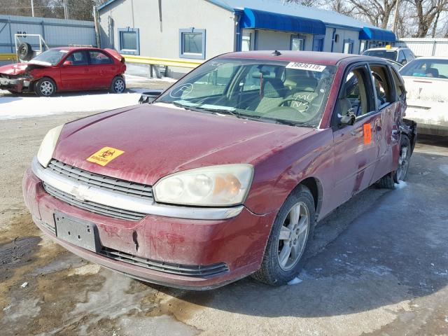 1G1ZT64864F228890 - 2004 CHEVROLET MALIBU MAX წითელი ფოტო 2