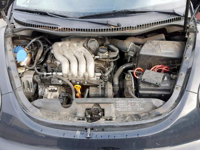 3VWCK31C05M406069 - 2005 VOLKSWAGEN NEW BEETLE ორფეროვანი ფოტო 7