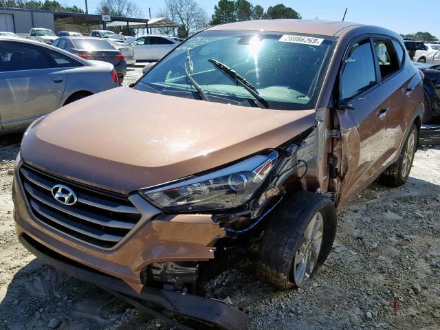 KM8J23A47GU166130 - 2016 HYUNDAI TUCSON SE BROWN photo 2