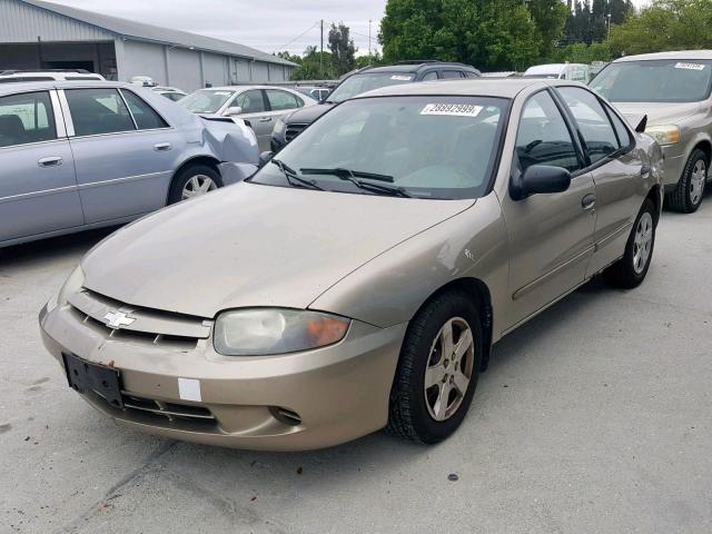 1G1JF52F647152551 - 2004 CHEVROLET CAVALIER L GOLD photo 2