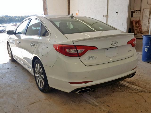 5NPE34AF6FH103586 - 2015 HYUNDAI SONATA SPO WHITE photo 3