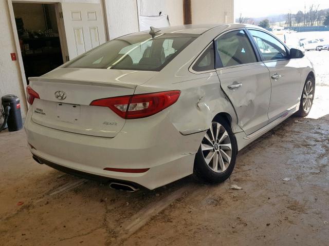 5NPE34AF6FH103586 - 2015 HYUNDAI SONATA SPO WHITE photo 4