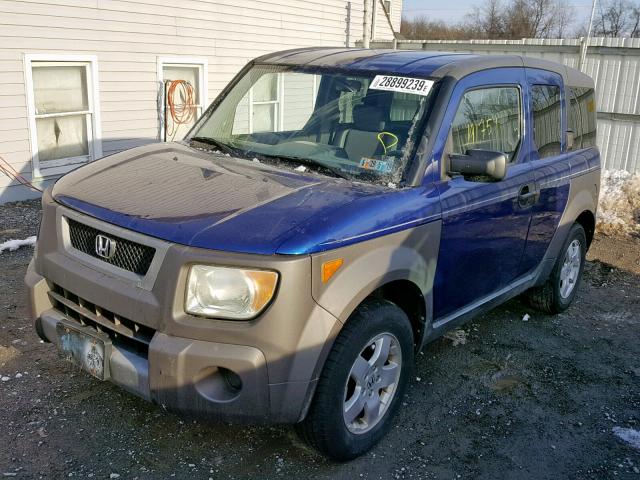 5J6YH28544L029233 - 2004 HONDA ELEMENT EX BLUE photo 2