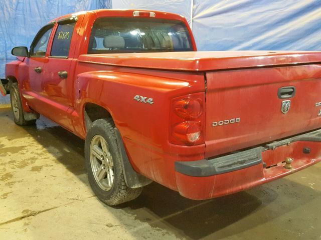 1D7RW3GK8BS614127 - 2011 DODGE DAKOTA SLT RED photo 3