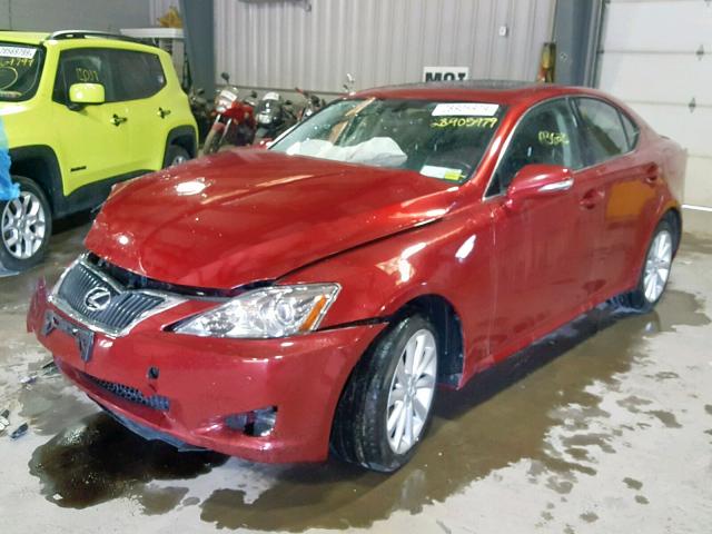 JTHCK262392028502 - 2009 LEXUS IS 250 BURGUNDY photo 2