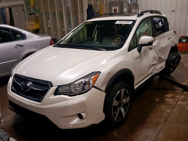 JF2GPBKC5EH313519 - 2014 SUBARU XV CROSSTR WHITE photo 2