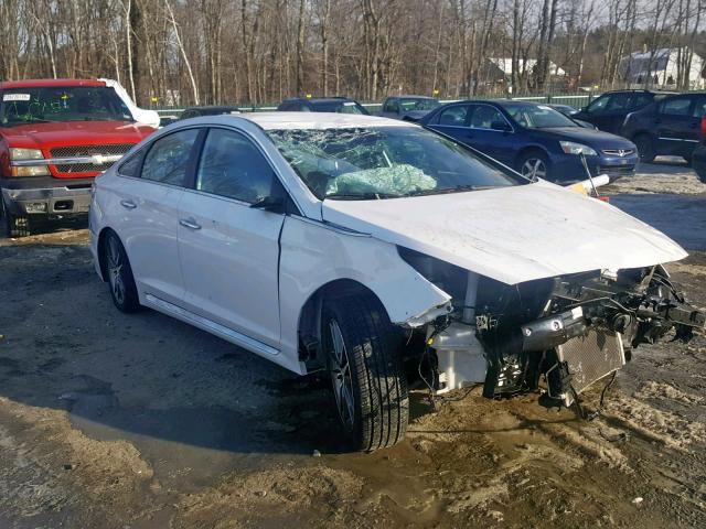 5NPE34AB1FH097970 - 2015 HYUNDAI SONATA SPO WHITE photo 1