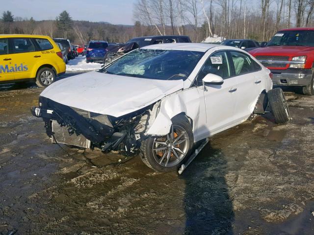 5NPE34AB1FH097970 - 2015 HYUNDAI SONATA SPO WHITE photo 2