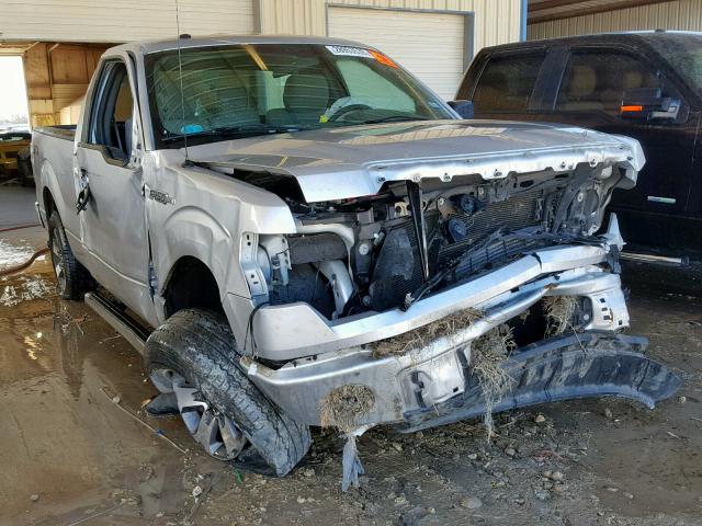 1FTMF1CM7EFB84233 - 2014 FORD F150 SILVER photo 1