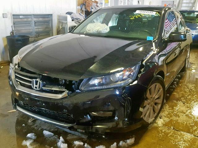 1HGCR2F81EA118850 - 2014 HONDA ACCORD EXL BLACK photo 2